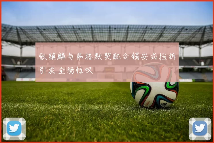 张镇麟与弗格默契配合锡安式挡拆引发全场惊叹
