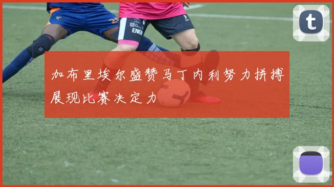 加布里埃尔盛赞马丁内利努力拼搏展现比赛决定力