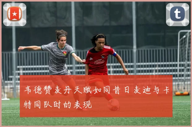 韦德赞麦丹天赋如同昔日麦迪与卡特同队时的表现